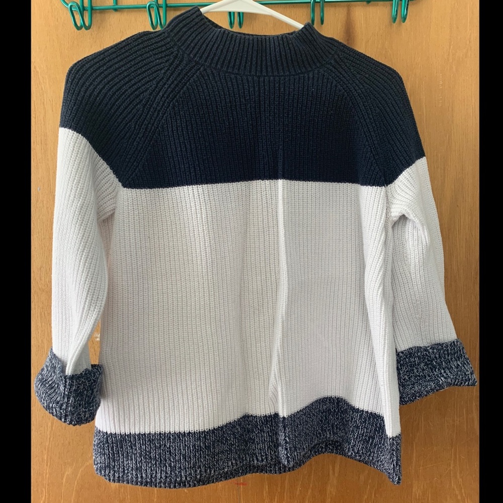Blue and White Gap Sweater